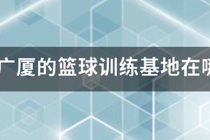 安徽巨银篮球训练基地地址
